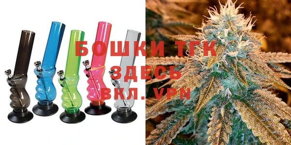 ПСИЛОЦИБИНОВЫЕ ГРИБЫ Баксан
